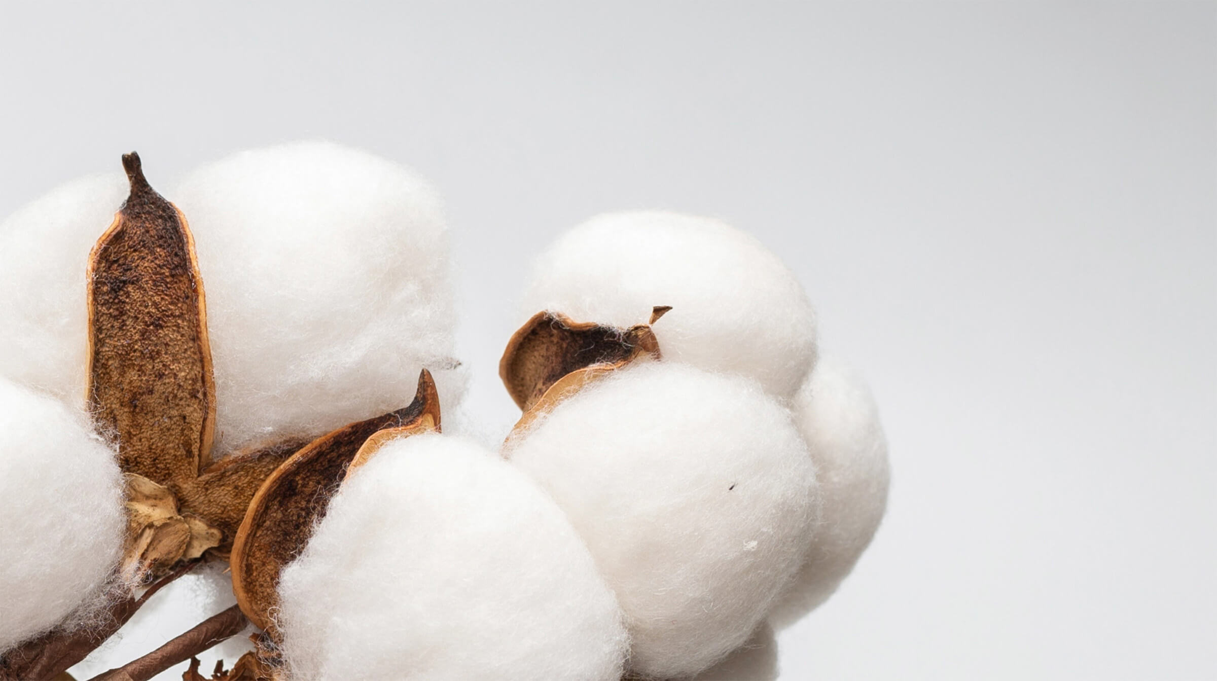 Alchemy of materials and finishes