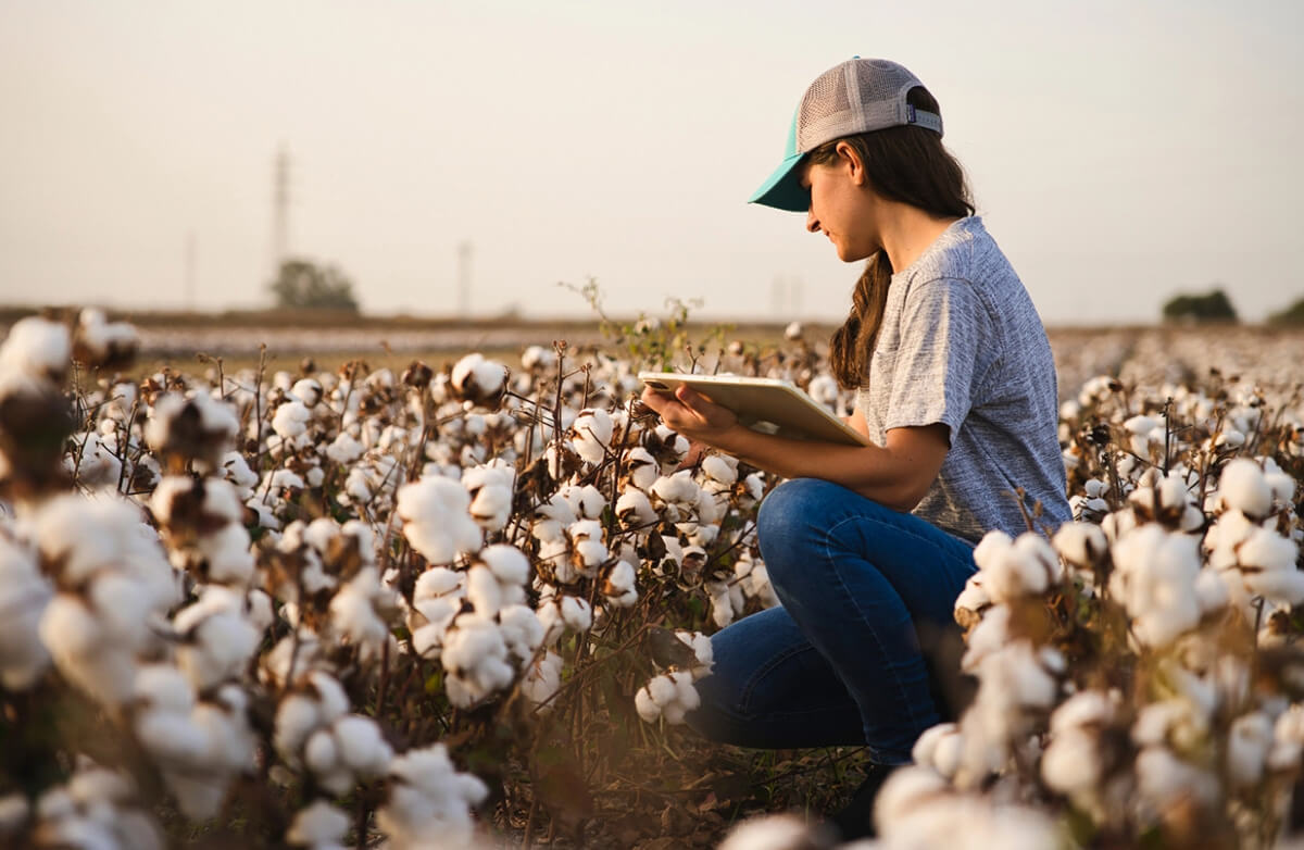 REGENERATIVE COTTON: OUR VISION FOR THE FUTURE